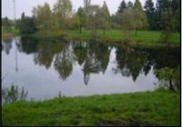 SUCHE! Freizeitsee Angelteich Niedersachsen - Nordhorn Vorschau