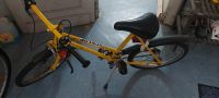 Fahrrad zu verkaufen Rheinland-Pfalz - Betzdorf Vorschau