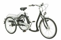 Elektro Dreirad E-Bike für Erwachsene Niedersachsen - Laatzen Vorschau