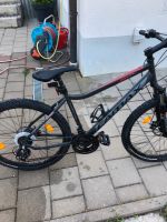 Mountainbike 27,5 Zoll Bayern - Asbach-Bäumenheim Vorschau