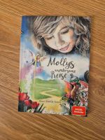 Mollys wundervolle Reise Band 1 Baden-Württemberg - Kißlegg Vorschau