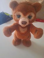 Furreal Cubby Teddybär Sachsen - Kamenz Vorschau