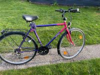 Herrenfahrrad 28 Zoll Fahrrad Mecklenburg-Vorpommern - Toddin Vorschau