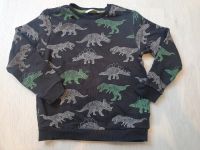 M&S Sweater Gr 6-7 122 Junge Dinosaurier Pullover Güstrow - Landkreis - Laage Vorschau