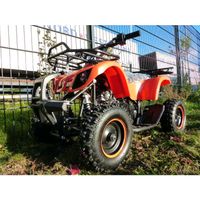 50ccm Kinderquad 49ccm 4 Takt Quad ATV Miniquad Kinder Pocketquad Nordrhein-Westfalen - Greven Vorschau