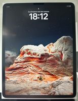 iPad Pro 12,9" 2021 Wi+CL 128GB mit Apple Pencil 2 Gen. Nordrhein-Westfalen - Arnsberg Vorschau