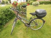 NSU Fahrrad 28er Nordrhein-Westfalen - Lichtenau Vorschau