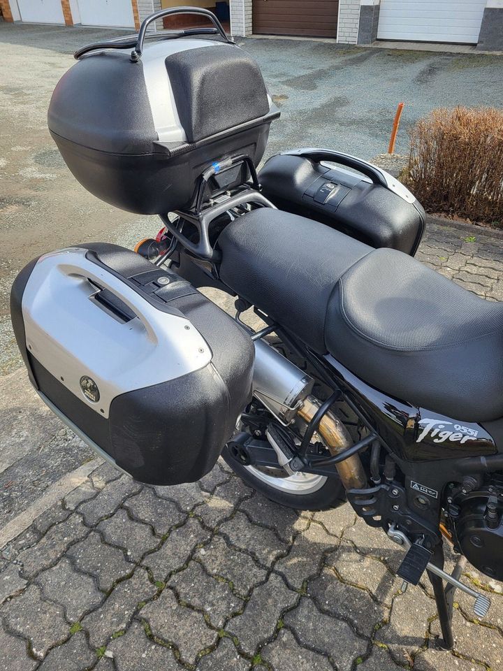 Triumph Tiger 955i in Kronach