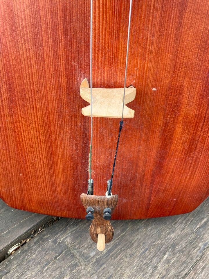Kontrabass, Cello, ungewöhnliches zweisaitiges Instrument. in Mainz