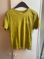 Levi's Shirt Tshirt Oberteil Grün Basic Größe M Nordrhein-Westfalen - Ratingen Vorschau