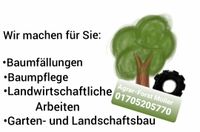 Baumfällung Baumpflege Wurzelfräsen Forstarbeiten Nordrhein-Westfalen - Vlotho Vorschau