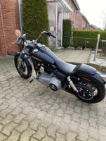 Harley Davidson zu verkaufen Schleswig-Holstein - Flensburg Vorschau