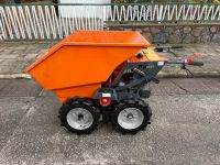 Belle BMD300 # Minidumper # Dumper # Schubkarre # mieten Herzogtum Lauenburg - Lauenburg Vorschau