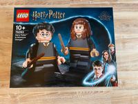 Lego Harry Potter "Harry Potter & Hermione Granger 76393 Baden-Württemberg - Sindelfingen Vorschau