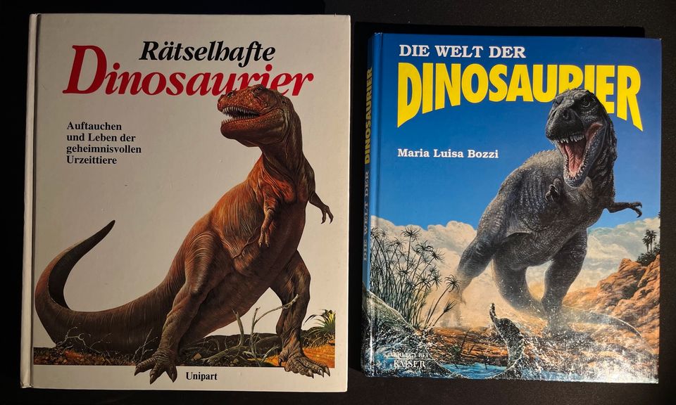 Zwei Dinosaurier Bücher in Hamm