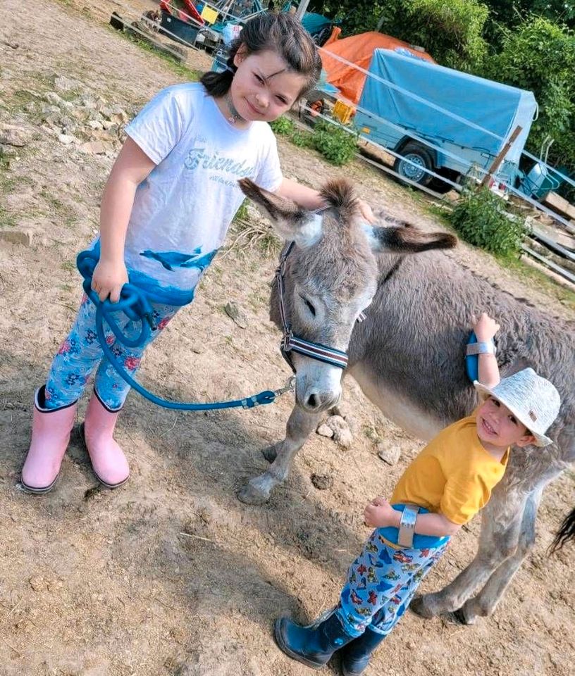 Eselreiten/Abenteuer in den Pfingstferien in Saulheim