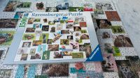 Ravensburger Puzzle 1500 Teile "Funny Animals Collage" Nürnberg (Mittelfr) - Mitte Vorschau