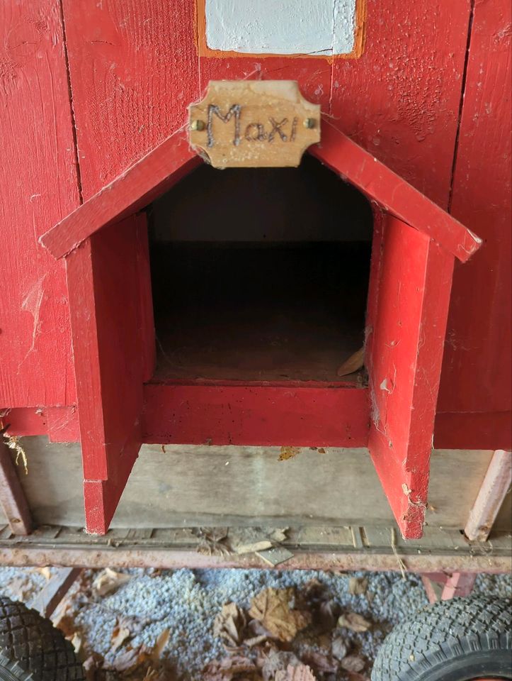 Katzenhaus Katze Hund Hundehütte Hase in Allershausen