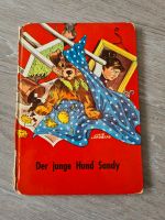 Altes Kinderbuch "Der junge Hund Sandy" von ca. 1960 Baden-Württemberg - Pfinztal Vorschau