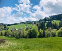 Ferienwohnung mieten Todtmoos im Schwarzwald, Hochschwarzwald Baden-Württemberg - Todtmoos Vorschau