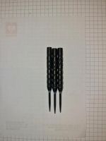 Gerwyn Price Darts Back to Black 22 gr. Rheinland-Pfalz - Ochtendung Vorschau