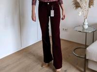 Mango Samthose dunkelrot 36 / 38 Pankow - Prenzlauer Berg Vorschau