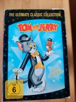 12 DVD Tom & Jerry Collection Nordrhein-Westfalen - Geseke Vorschau