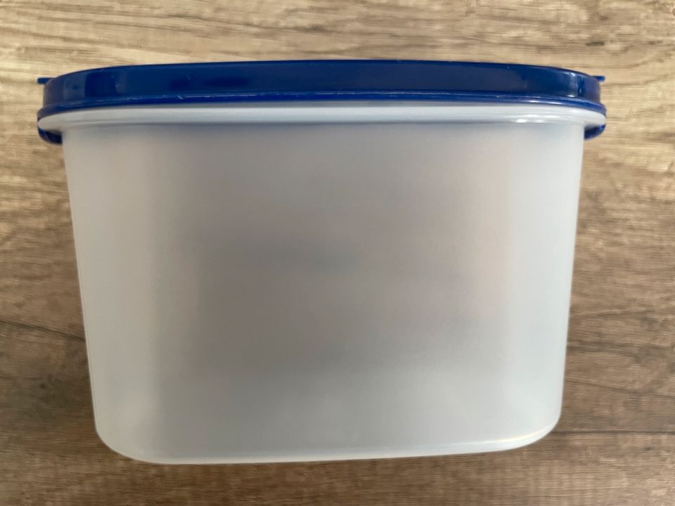 Tupperware Eidgenosse oval 1,1 Liter in Herborn