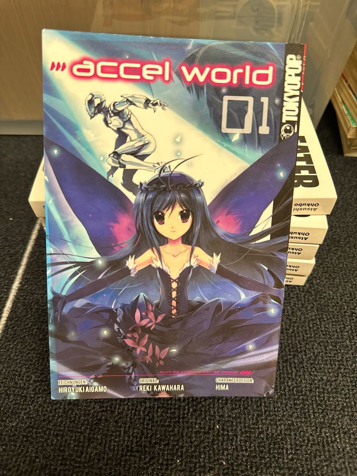 Manga | Accel World Band 1 in Bad Windsheim