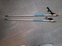 Gehstöcke , Carbon nordic walking stöcke 130 cm Nordrhein-Westfalen - Eschweiler Vorschau