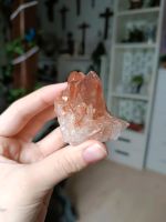 Tangerine Mandarinen Lemurian Cluster Niedersachsen - Göttingen Vorschau