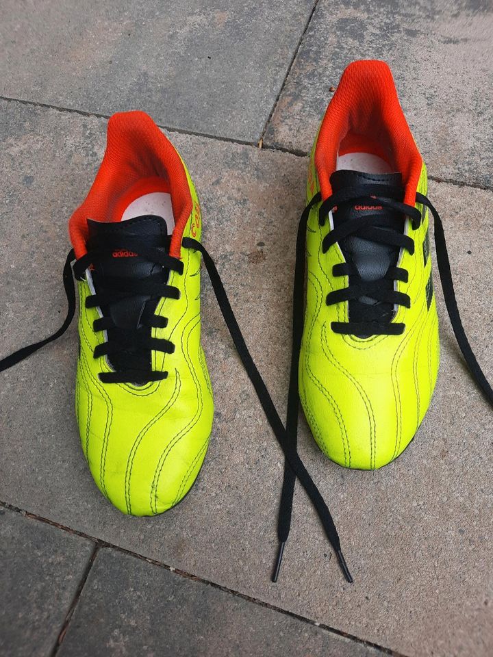 Adidas Copa Fußballschuhe Größe 33 1/2 in Stadecken-Elsheim