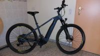 E Bike Conway  Cairon S429 Sachsen-Anhalt - Petersberg (Saalekreis) Vorschau