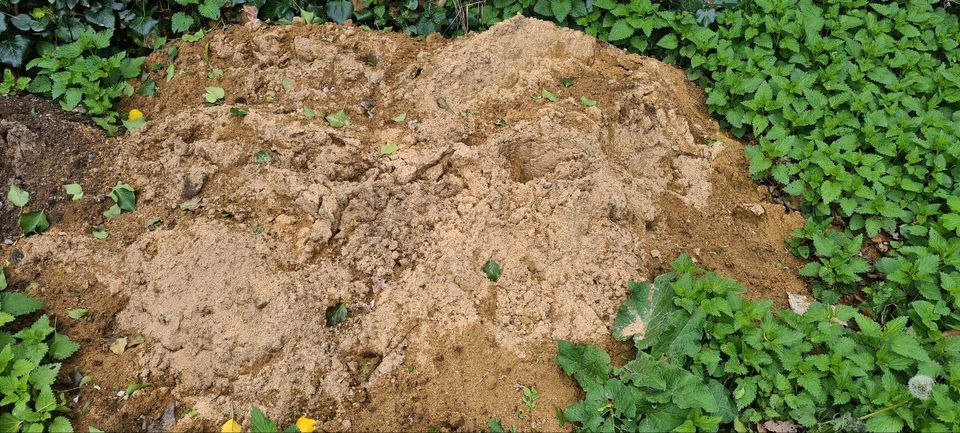 Sand abzugeben in Dresden