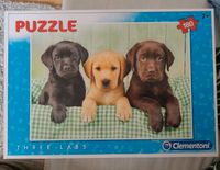 Puzzle Labradorwelpen 180 Teile Nordrhein-Westfalen - Holzwickede Vorschau