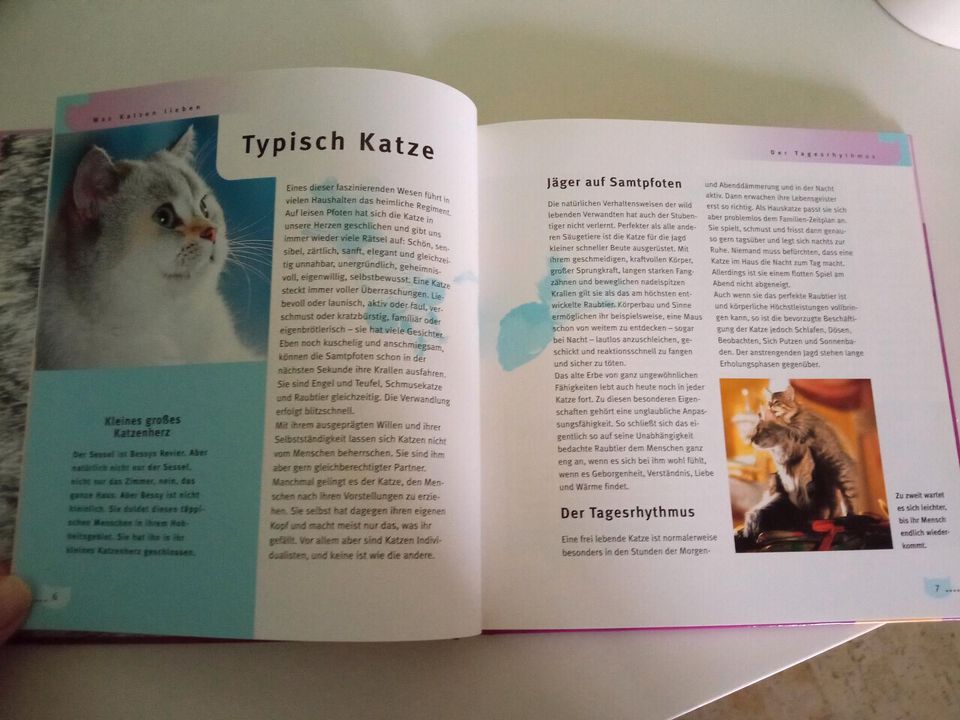 Wellness-Buch für Katzen (neu❗) in München