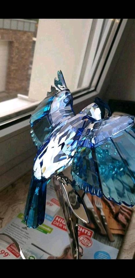 Swarovski Figur Blauhäher Vogel Kristallfigur Dekofigur Sammler in Hückelhoven