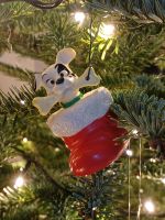 Dalmatiner Disney Weihnachten, im rotem Weihnachtsstiefel mit Kno Niedersachsen - Obernkirchen Vorschau