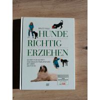 Bücher zum Thema "Hundeerziehung" Bayern - Tapfheim Vorschau