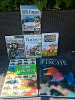 Verschiebe Bücher von Traktor, Motorrad, Tiere Sachsen - Stolpen Vorschau