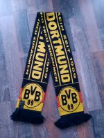 BVB Schlal Nordrhein-Westfalen - Brilon Vorschau