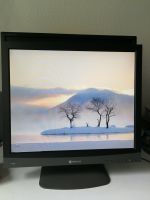 19" PC Monitor Neovo F-419 sehr gutes Bild und Zustand Hessen - Darmstadt Vorschau