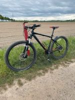 Marin Bobcat LTD XT Hardtail, Trail Bike, Fahrrad, Mtb Niedersachsen - Salzgitter Vorschau