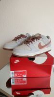 Nike Dunk Low Retro Fossil Rose - EU44 Baden-Württemberg - Karlsruhe Vorschau