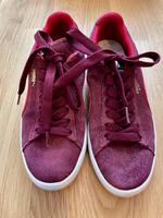 Puma Suede 38 bordeaux München - Au-Haidhausen Vorschau