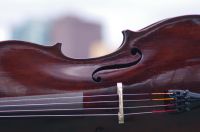 Klangvolles Cello mieten - rent sonorous cellos at CELLO HOFFMANN Berlin - Wannsee Vorschau