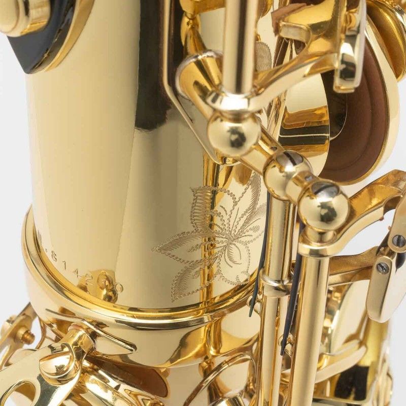 Henri Selmer Paris "Axos" Es - Altsaxophon %%%%%% NEUWARE %%%%%%% in Hagenburg