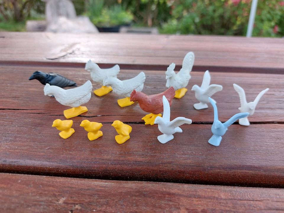 Playmobil Figuren Konvolut Vögel Rabe Hühner Tauben Kücken Hahn in Hohenfels
