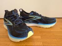 Brooks Glycerin GTS 22, Größe 44,5, Neuwertig,  NP 180 EUR München - Sendling-Westpark Vorschau