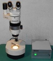 Wild Heerbrugg Mikroskop Stereolupe M7a Auflicht Durchlicht ! Schleswig-Holstein - Bad Segeberg Vorschau